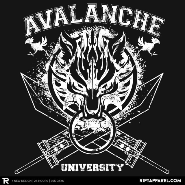 avalanche-university-detail_1033_cached_thumb_-50ac5a62e8cecdbaefbf9be229c742d8